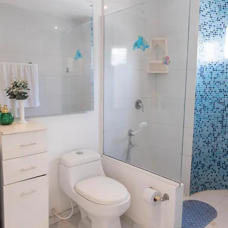Guest house Casa Dandy 3*